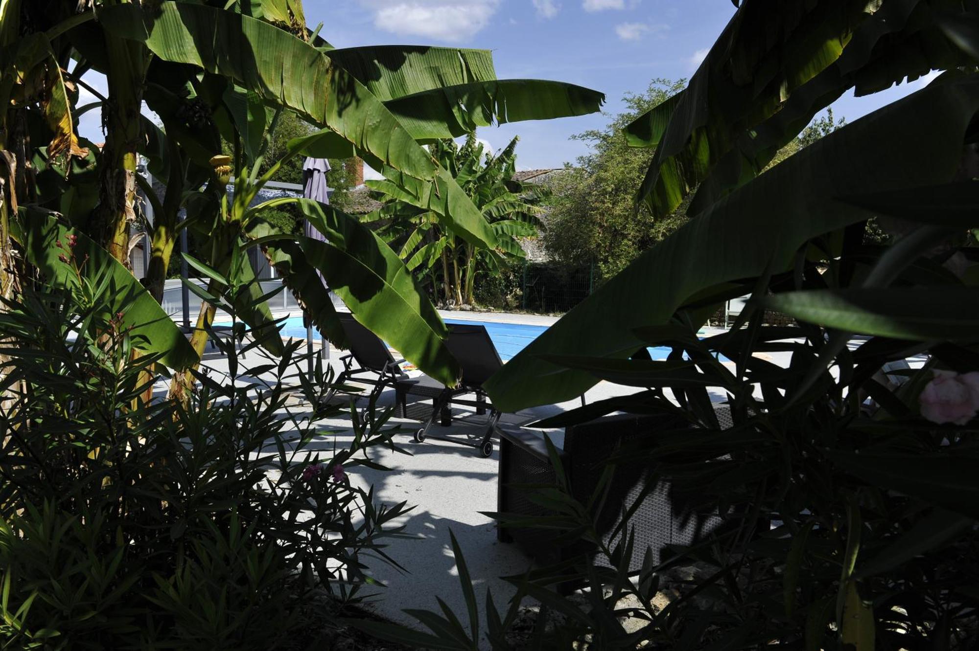 Gites Jardin-Darcy - Piscine Au Sel Bois Εξωτερικό φωτογραφία